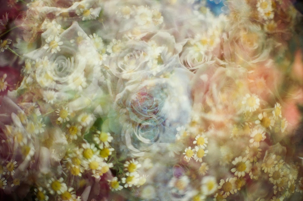 やわらかなパステルカラーの花